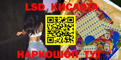 эйфоретик Берёзовский