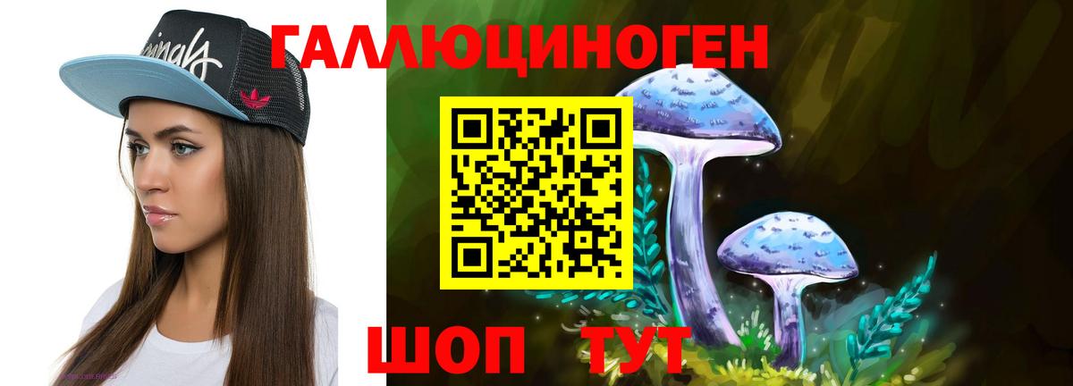 Галлюциногенные грибы мицелий  Вход с VPN  Галлюциногенные грибы Psilocybe  Кисловодск 